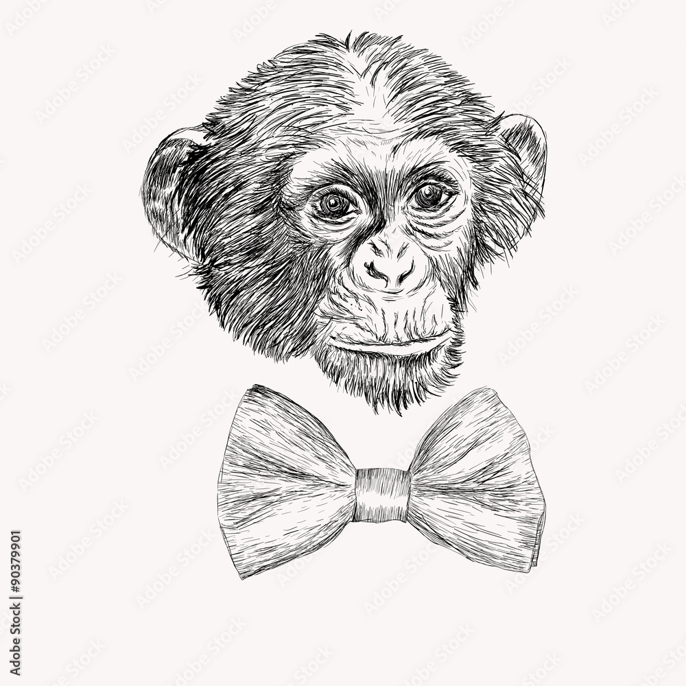 Sketch monkey face with bow tie. Hand drawn doodle vector illust Stock ...