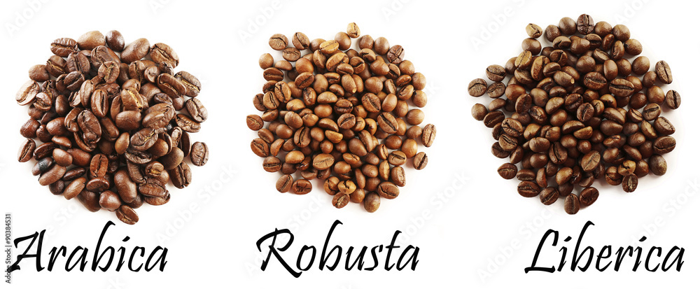 Different coffee beans isolated on white - obrazy, fototapety, plakaty 