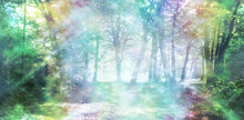 Magical Spiritual Woodland Energy - Rainbow Colored Woodland Scene With Streams Of Sparkling Light 