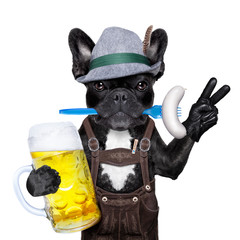 Poster - bavarian beer celebration dog