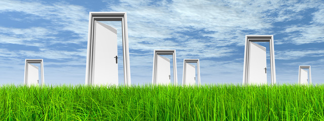 White door in grass with sky banner