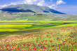 blooming fields in Castelluccio di Norcia -famous plateau in monti Sibilini,Italy
