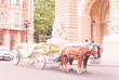 Карета с лошадьми для прогулок по городу. Одесса, Украина