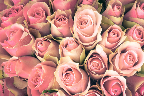 Naklejka dekoracyjna Natural Roses background