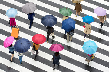Wall Mural - Menschen in Shibuya Tokyo Japan mit Regenschirmen