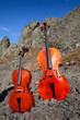 Braunes Cello im Gebirge