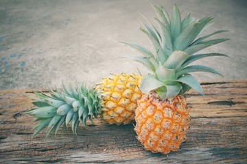  Pineapple