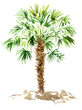 watercolor palm tree