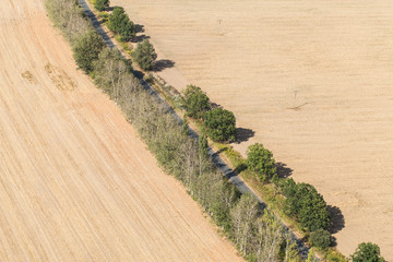 aerial view of village road and harvest fields