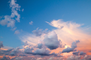 Wall Mural - cloudscape, summer evening sky background