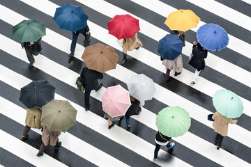 Wall Mural - Fußgänger mit Regenschirm auf einer Kreuzung