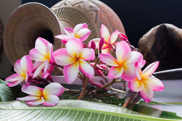 Wall Mural - beautiful charming aroma pink flower plumeria made more classic with vintage and boutique look for s