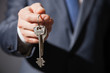 © zest_marina - Unrecognizable businessman offering a keys