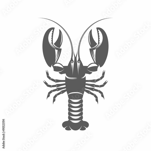 Lobster black and white vector illustration / Vector illustration