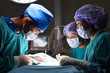 © nimon_t - group of veterinarian surgery in operation room