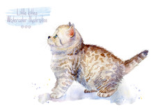 Little Fluffy Kitten Spotted Cat. Watercolor Illustration Of Kitten. View From The Side.