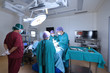 © nimon_t - group of veterinarian surgery in operation room