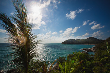 Wall Mural - Sunset over the tropical beach. 