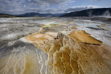 Wall Mural - Mammoth Hot Springs