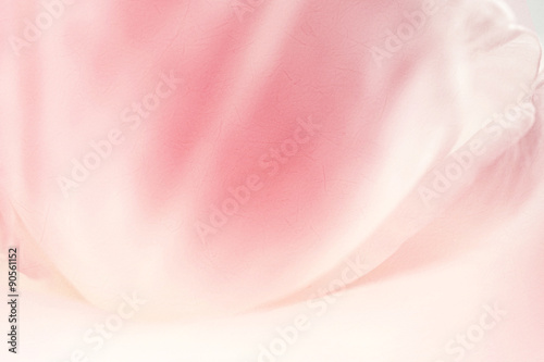 Fotografía sweet color rose petal in soft and blur style on mulberry paper texture