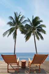 Wall Mural - The luxury beachfront pool and the ocean