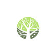 abstract green tree decoration vector logo