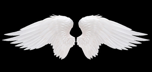 Wall Mural - white angel wing isolated