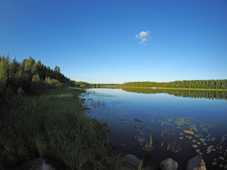 Sticker - river in summer