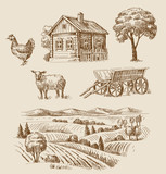 farm and animals hand drawn