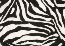 Black And White Zebra Pattern. Striped Animal Print As Background.