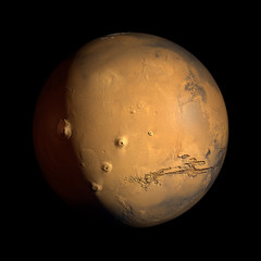Wall Mural - mars