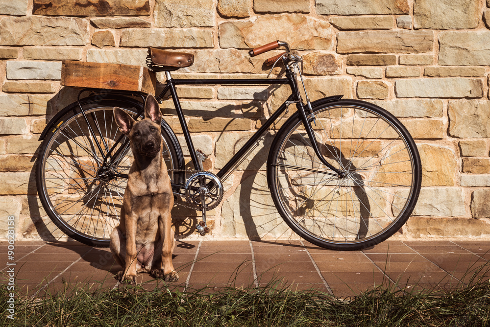 rower-vintage