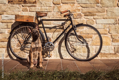 Fototapeta na wymiar Vintage bike