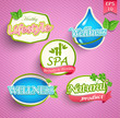 Set of flat icons for spa, healthy lifestyle, wellness and natural product.