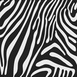 Seamless vector background with Zebra skin 