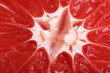 Grapefruit slice background