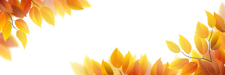 Wall Mural - vector banner with autumn leaves