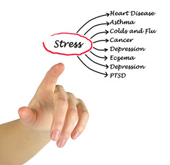 Poster - Stress consequences