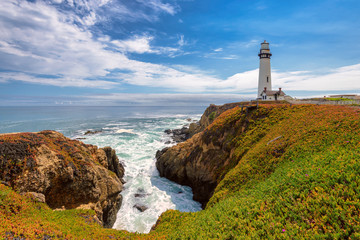 Wall Mural - Pigeon Point Lighthouse, Pacific coastline in California