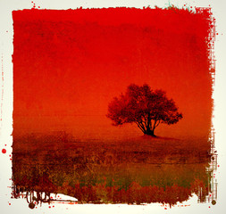 Wall Mural - Grunge red background with olive tree