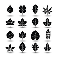 leaf icon