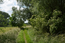 Small Hiking Trail Through The Countryside