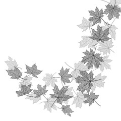 Wall Mural - Dry autumn maple leaves silhouettes background, vector illustration.