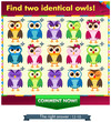 fiind two identical owls!
