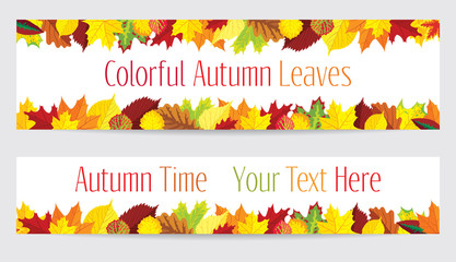 Wall Mural - Colorful autumn leaves banners
