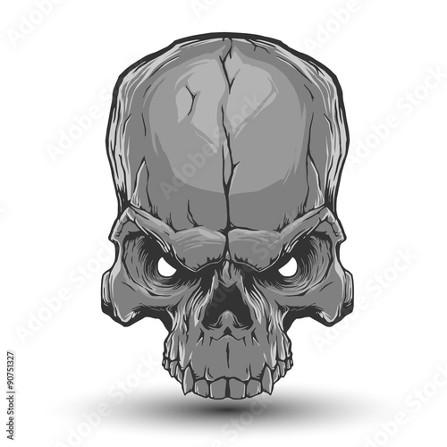 Skull illustration