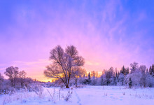 Winter Landscape Panorama With Sunset And The  Forest