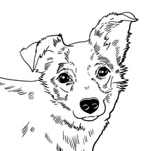 Vector Illustration Of The Dog. Black And White