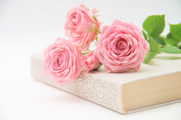 Roses and old book. Toned image