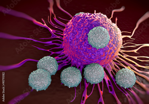 Fotografie, Obraz T-cells attacking cancer cell illustration of microscopic photos